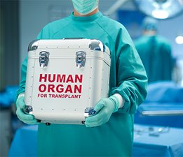Organ kutusu taşıyan hemşire